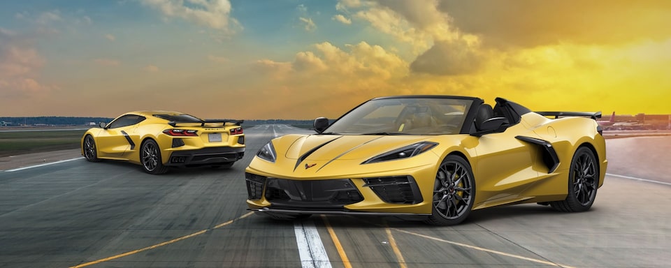 CORVETTE YELLOW JACKET EDITION
