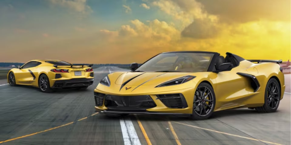 YELLOW JACKET EDITION