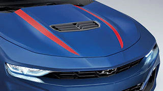 スパイダーストライプ