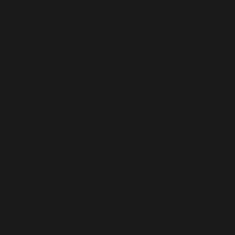 dark grey background.JPG